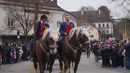 Miltach feiert sein Brauchtum: 199 Reiter nahmen am Samstag am Martiniritt teil.