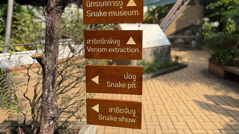 Die Schlangenfarm zur Gewinnung von Antiserum ist eine der &auml;ltesten ihrer Art weltweit.