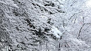 Kurz vor dem ersten Osterferien-Wochenende kam noch einmal der Schnee nach Bayern zur&uuml;ck.