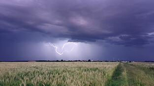 Gewitter und Regen werden über Bayern erwartet. (Archivfoto)