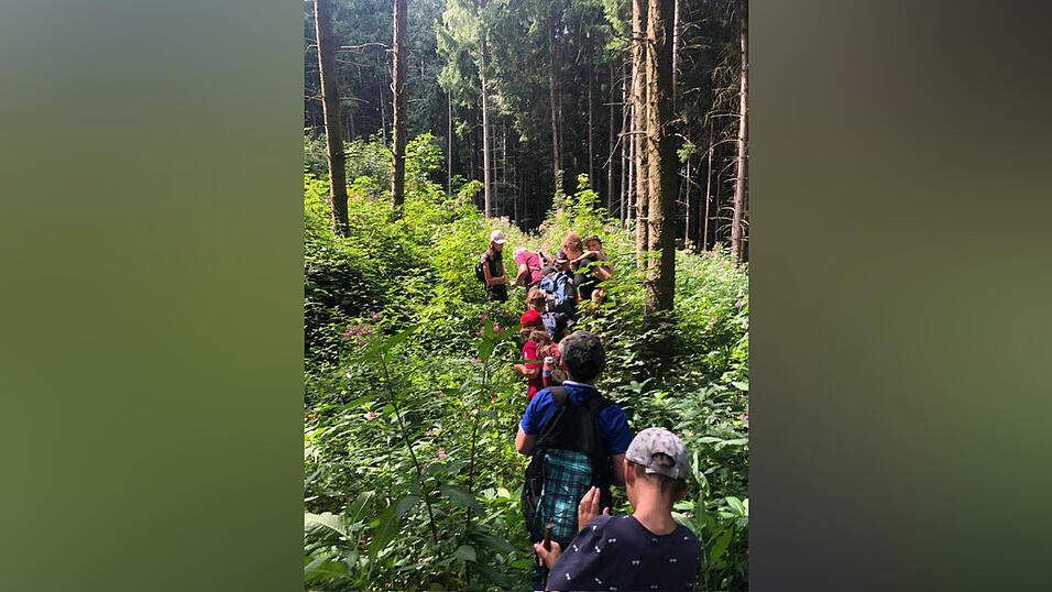 Erlebnisse bei der Wanderung.