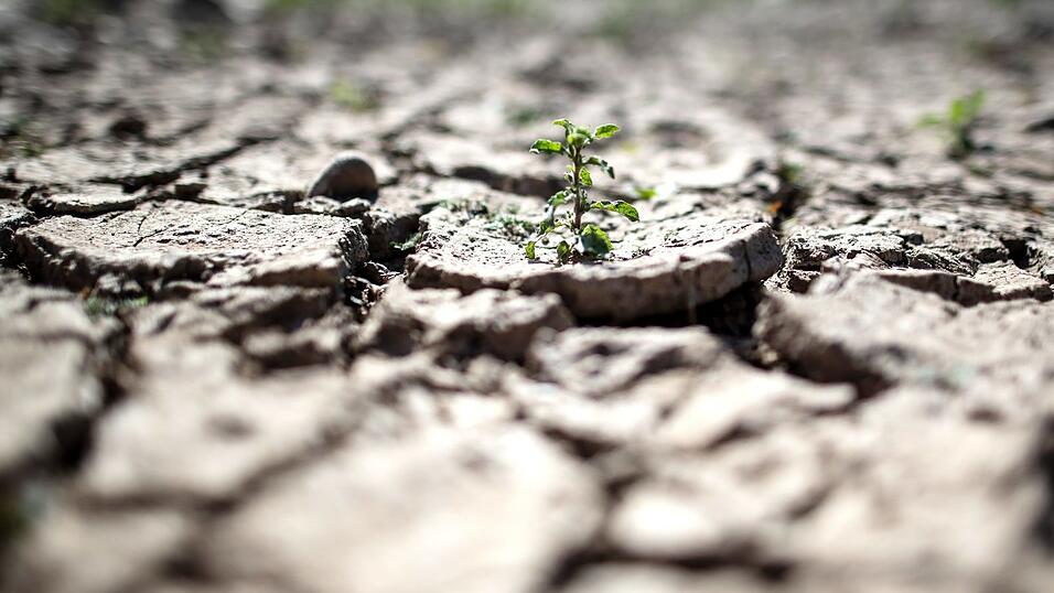 Das Papier, das viele bereits bekannte Forderungen des Umweltbundesamtes sammelt, war im Juni erstellt worden, als die Bundesregierung ihr Klimapaket vorbereitete. Inzwischen ist das 'Klimaschutzprogramm 2030' beschlossen. Reichen die beschlossenen Ma&szlig;nahmen aus? (Symbolbild)