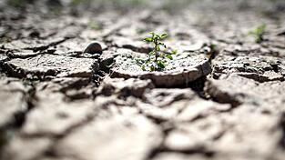 Das Papier, das viele bereits bekannte Forderungen des Umweltbundesamtes sammelt, war im Juni erstellt worden, als die Bundesregierung ihr Klimapaket vorbereitete. Inzwischen ist das 'Klimaschutzprogramm 2030' beschlossen. Reichen die beschlossenen Maßnahmen aus? (Symbolbild) Das Papier, das viele bereits bekannte Forderungen des Umweltbundesamtes sammelt, war im Juni erstellt worden, als die Bundesregierung ihr Klimapaket vorbereitete. Inzwischen ist das 'Klimaschutzprogramm 2030' beschlossen. Reichen die beschlossenen Maßnahmen aus? (Symbolbild)