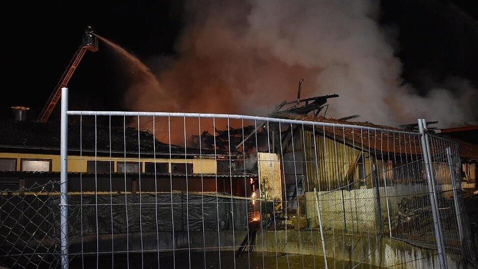 Bei einem Brand auf einem Bauernhof im Landkreis Deggendorf kamen mehrere Rinder ums Leben.