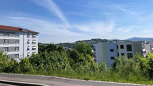 Zwischen dem Procurand-Pflegestift (links) und der Wohnanlage an der Jahnstraße will die Wohnungsbau-Genossenschaft ein Mehrfamilienhaus mit 24 Wohnungen bauen. Zwischen dem Procurand-Pflegestift (links) und der Wohnanlage an der Jahnstraße will die Wohnungsbau-Genossenschaft ein Mehrfamilienhaus mit 24 Wohnungen bauen.