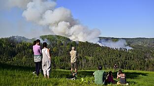 Rauch steigt aus einem Waldgebiet im Nationalpark B&ouml;hmische Schweiz auf.
