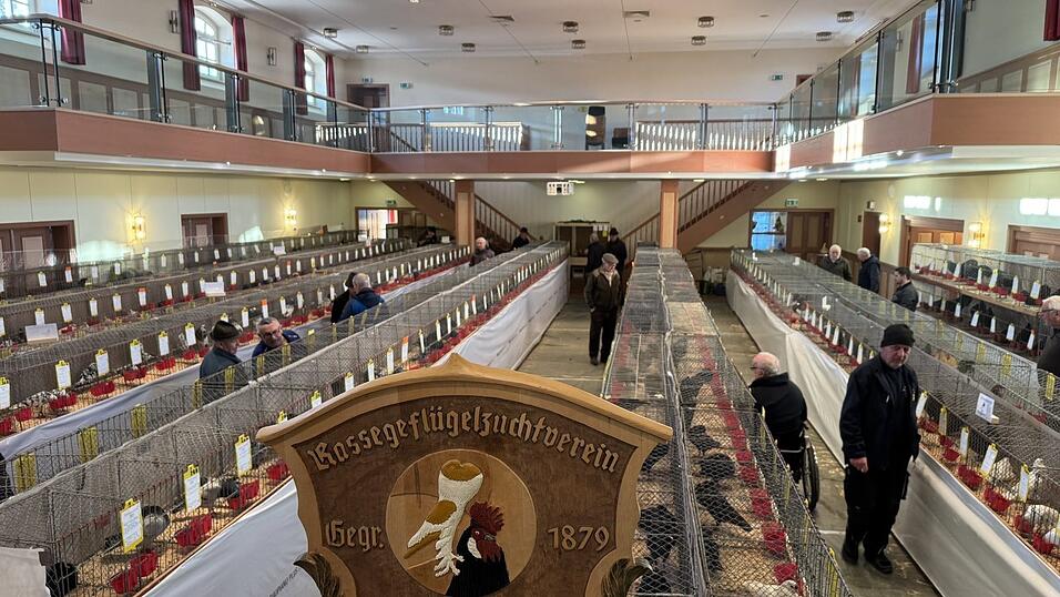 586 Tiere waren am Wochenende in der Viechtacher Stadthalle ausgestellt. 586 Tiere waren am Wochenende in der Viechtacher Stadthalle ausgestellt.