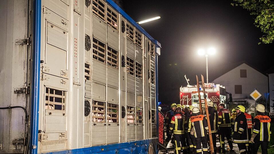 Kniffliger Einsatz f&uuml;r die Feuerwehren aus Rohr/Ndb. und Obereulenbach am sp&auml;ten Donnerstagabend. Ein Schweinetransporter hatte auf dem Weg zum Schlachthof Feuer gefangen. Neun der Tiere kamen durch den Stress und den giftigen Rauch ums Leben.