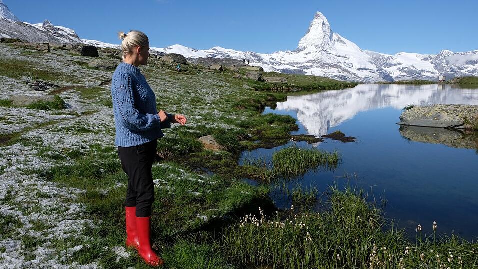 Mare kümmerte sich während ihrer Zeit auf der Alp um 300 Walliser Schwarznasenschafe – und die Bad Kötztingerin hatte dabei häufig das Matterhorn im Blick. Mare kümmerte sich während ihrer Zeit auf der Alp um 300 Walliser Schwarznasenschafe – und die Bad Kötztingerin hatte dabei häufig das Matterhorn im Blick.