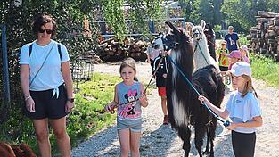 Eine kleine Lamakarawane machte sich von St. Alban aus auf Wanderschaft.