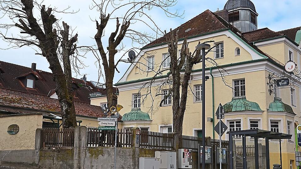 Sind die Kastanien im Postgarten dem Tode geweiht oder erbl&uuml;hen sie nach dem Kronenschnitt in absehbarer Zeit wieder zu neuem Leben?