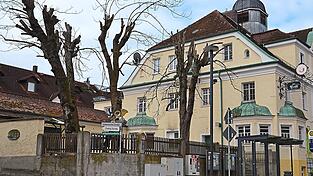 Sind die Kastanien im Postgarten dem Tode geweiht oder erbl&uuml;hen sie nach dem Kronenschnitt in absehbarer Zeit wieder zu neuem Leben?