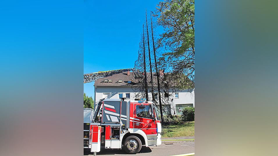 Drei Fichten brannten bei Trockenheit schnell ab. Drei Fichten brannten bei Trockenheit schnell ab.