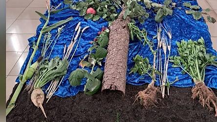 Der geplünderte Erntedankaltar
