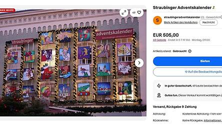 Derzeit steht das Gebot bei 505 Euro. Die Aktion l&auml;uft noch bis Montag. (Screenshot)