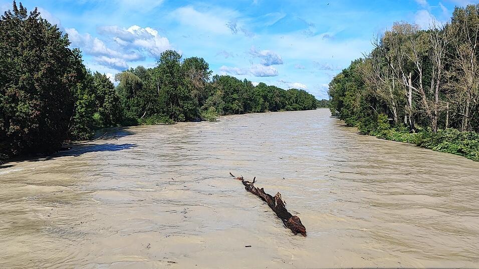 Auch größeres Treibgut riss die Isar mit sich, die Abflussmenge in Moosburg lag am Dienstag etwa fünfmal höher als noch am Samstag.