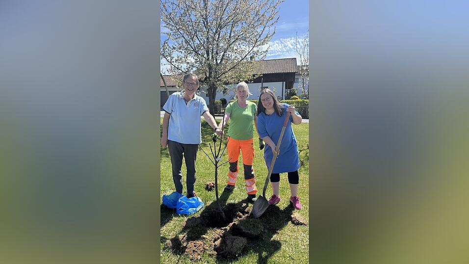 B&uuml;rgermeister Franz Wittmann, Waltraud Schmelmer und Melanie Reil beim Pflanzen des Korbiniansapfels am Spielplatz