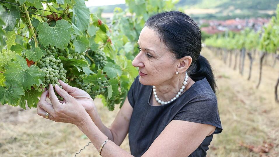 Winzermeisterin Elke R&ouml;der setzt seit Jahrzehnten auf alkoholfreien Wein. (Archivbild)