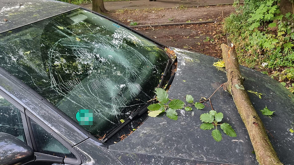 Der Fokus f&uuml;r die Einsatzkr&auml;fte lag auf Sturmsch&auml;den in Form umgest&uuml;rzter B&auml;ume und abgebrochener &Auml;ste.