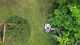 M&auml;hroboter k&ouml;nnen Igel schwerwiegend verletzen.