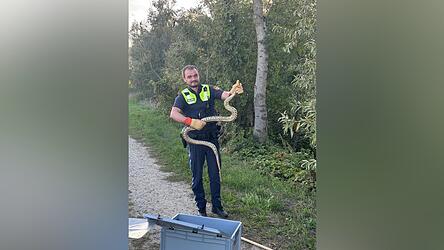 Dieser Polizist fing die Schlange ein.