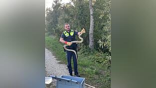 Dieser Polizist fing die Schlange ein. Dieser Polizist fing die Schlange ein.