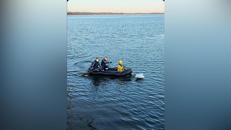Einen toten Schwan und 15 verendete Entenv&ouml;gel hat das THW Freising am Sonntag am Moosburger Ausgleichsweiher geborgen.
