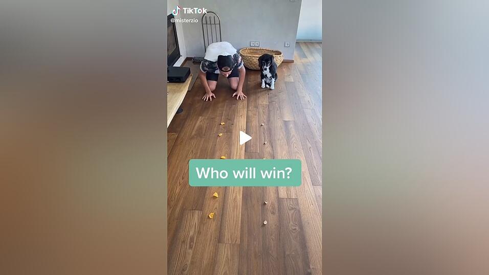Nick vs. Hund. Wer ist schneller? Nick vs. Hund. Wer ist schneller?