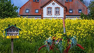 Nummer sicher: Ferienhaus an der Ostsee. (Archivbild)