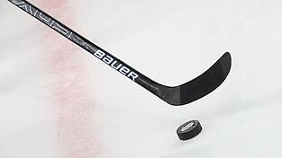 Die Nürnberg Ice Tigers haben noch mal personell nachgelegt. (Archivbild)