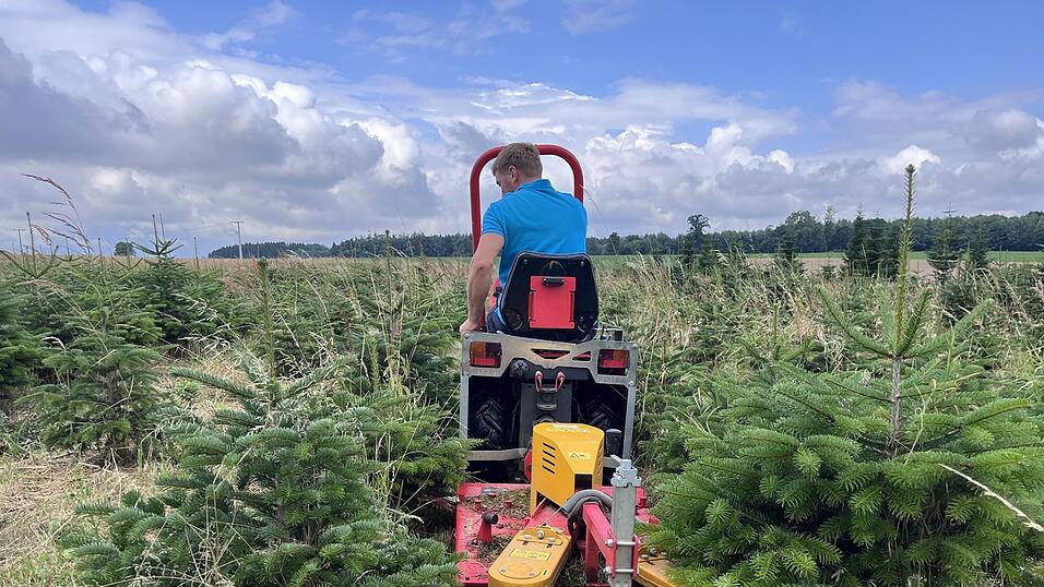 Stefan Schwesinger unterwegs in seiner Plantage