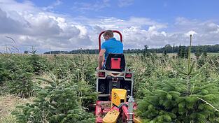 Stefan Schwesinger unterwegs in seiner Plantage