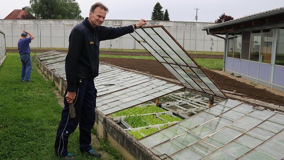 Gem&uuml;se- und Salatanbau sind die Hauptbesch&auml;ftigung der Mitarbeiter von G&auml;rtnermeister Michael Maier in der G&auml;rtnerei der Justizvollzugsanstalt. H&auml;ftling G&uuml;nther (Name ge&auml;ndert) macht die Arbeit hier viel Freude.