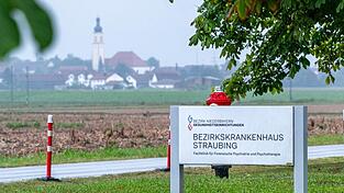 Zwischen dem Bezirkskrankenhaus und Alburg liegen nur wenige Felder. Die Alburger waren am Samstagabend verunsichert, doch die Männer werden wohl längst das Weite gesucht haben.