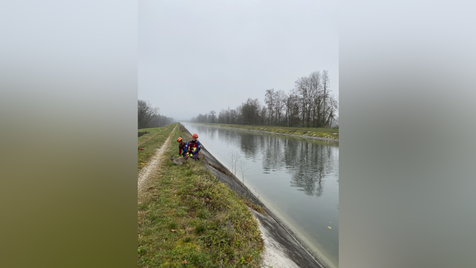 Nach der Rettung verharrt das Reh im Böschungsbereich und wird zum Wasser hin durch die beiden Wasserretter abgesichert. Nach der Rettung verharrt das Reh im Böschungsbereich und wird zum Wasser hin durch die beiden Wasserretter abgesichert.
