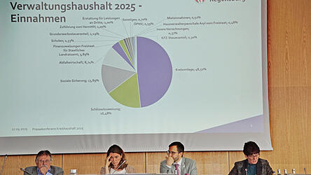 Der Haushalt, den den die Kreisk&auml;mmerin im Fr&uuml;hjahr 2025 im Kreistag vorstellte, wird gerichtsmassig.