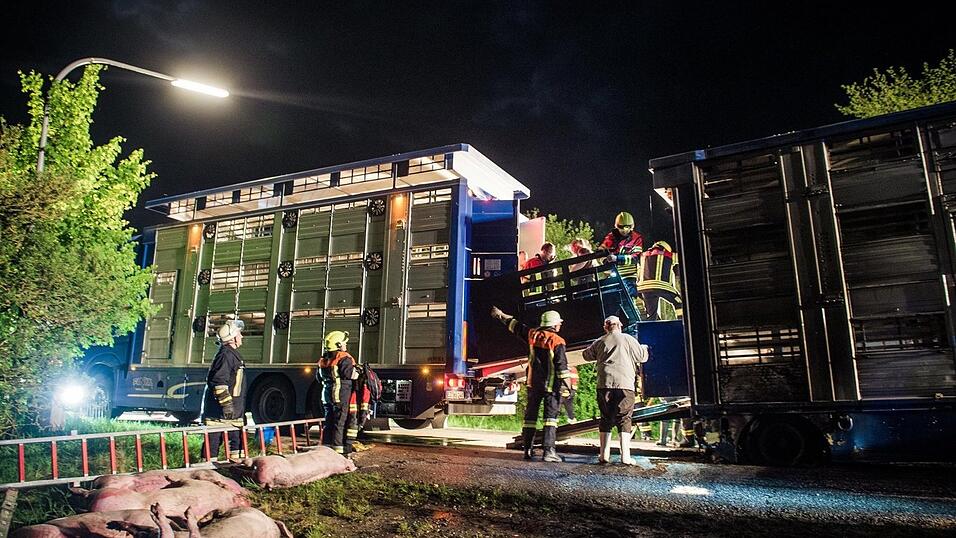 Kniffliger Einsatz f&uuml;r die Feuerwehren aus Rohr/Ndb. und Obereulenbach am sp&auml;ten Donnerstagabend. Ein Schweinetransporter hatte auf dem Weg zum Schlachthof Feuer gefangen. Neun der Tiere kamen durch den Stress und den giftigen Rauch ums Leben.