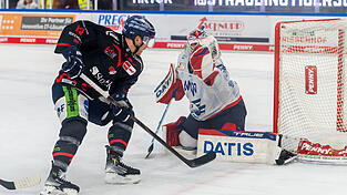 Die Straubing Tigers (in Schwarz) erwarten für das Heimspiel am Sonntag eine stimmungsvolle Kulisse.