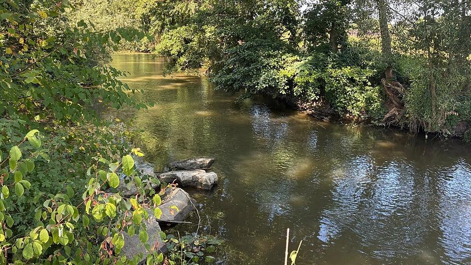 Ein paar wenige Steine in der Vils haben dafür gesorgt, dass der Halserbach wieder ausreichend gespeist wird. Ein paar wenige Steine in der Vils haben dafür gesorgt, dass der Halserbach wieder ausreichend gespeist wird.
