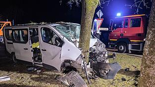 Der Fahrer wurde bei dem Unfall schwer verletzt.