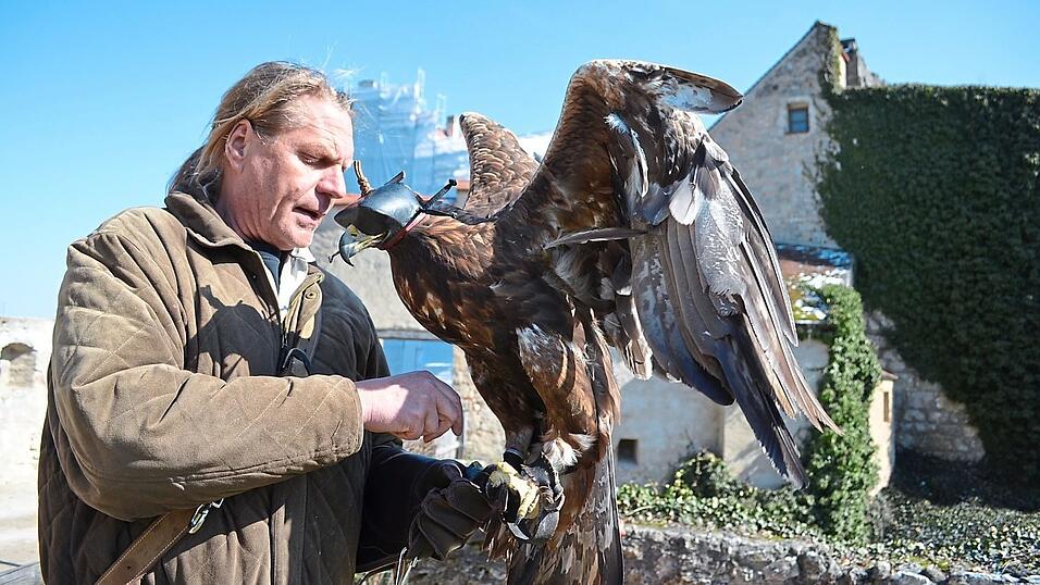 Der Falkner Gunter Hafner geht mit seinen gefiederten Freunden in den Ruhestand. Die Bayerische Schl&ouml;sserverwaltung sucht einen Nachfolger f&uuml;r die Rosenburg bei Riedenburg.