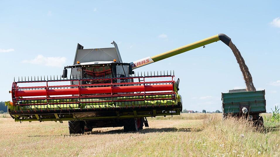 Ein Mähdrescher leert in Blumenrod Getreide in einen Kipper.