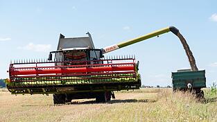 Ein Mähdrescher leert in Blumenrod Getreide in einen Kipper.