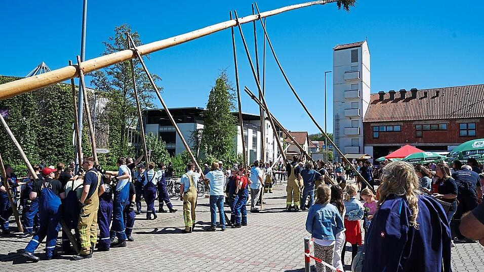 Nach anderthalb Stunden stand der Maibaum senkrecht.