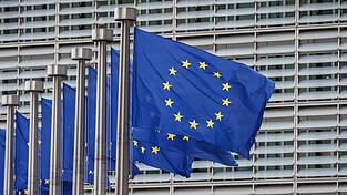 Im h&ouml;heren Dienst der EU-Kommission sind derzeit nach eigenen Angaben rund 1200 Deutsche besch&auml;ftigt. Sie machen einen Anteil von 9,1 Prozent aus.