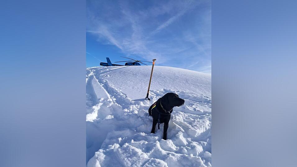 Auch Hunde waren nach dem Lawinenabgang am Finsterkopf im Einsatz.