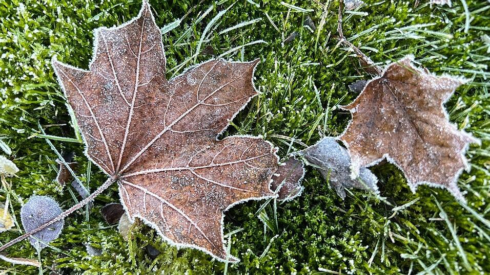 Vom K&auml;lterekord ist das Wetter in Deutschland noch weit entfernt.