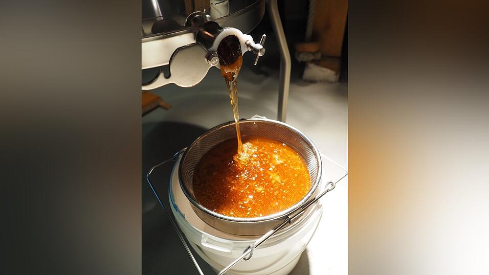 Honig schleudern: Goldgelb l&auml;uft der frische Honig aus der Schleuder.