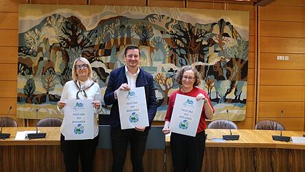 Birgit Besold, geschäftsführende Beamtin am Landratsamt, Landrat Christian Schindler und Kulturreferentin Maria-Luise Segl (von links) stellen den Ideenwettbewerb vor. Birgit Besold, geschäftsführende Beamtin am Landratsamt, Landrat Christian Schindler und Kulturreferentin Maria-Luise Segl (von links) stellen den Ideenwettbewerb vor.