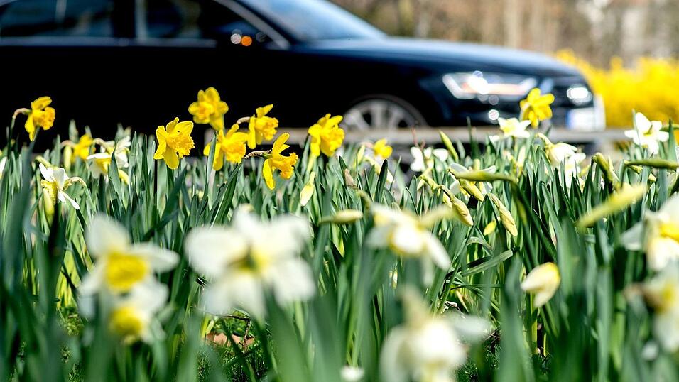 Wechseln oder austauschen? Ob neue Sommerreifen fällig sind, entscheiden mehrere Faktoren.